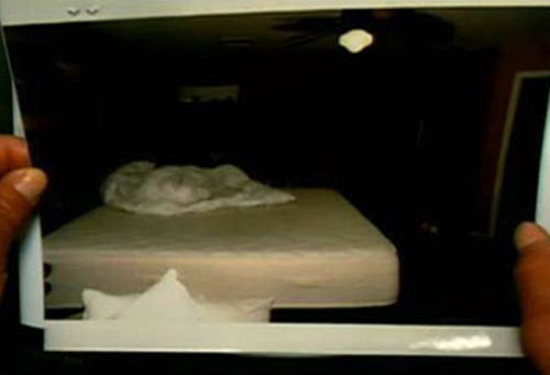This Is Crazy What The New Jodi Arias Photos Reveal About The Trial You Wont Believe It - wcip29s