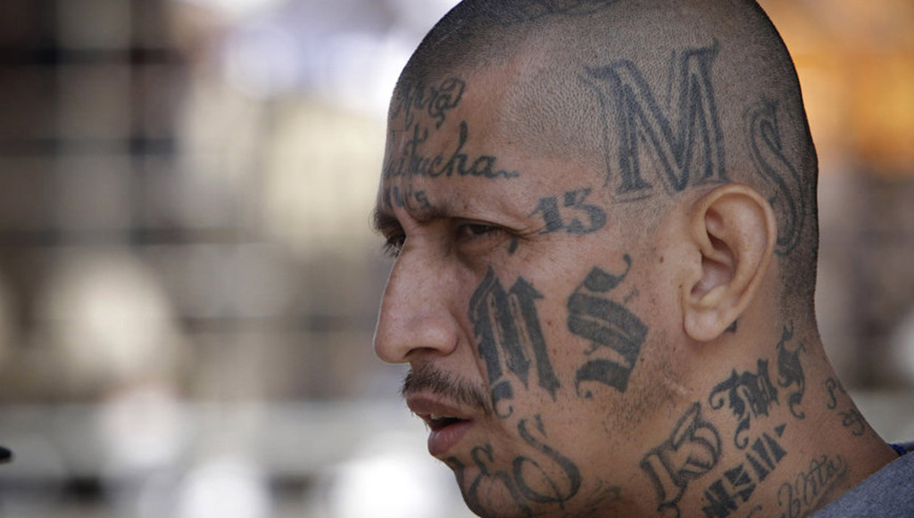 Get Senal de la mara salvatrucha For Android